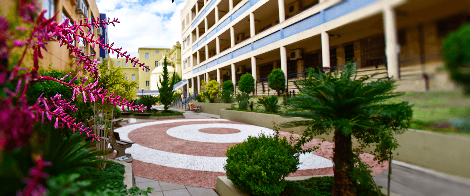 Universidade Franciscana - 1